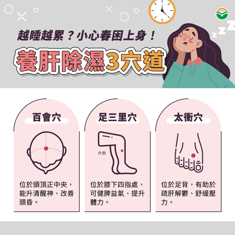「春睏」纏身越睡越累?中醫揭身體失衡警訊:養肝除濕助清醒