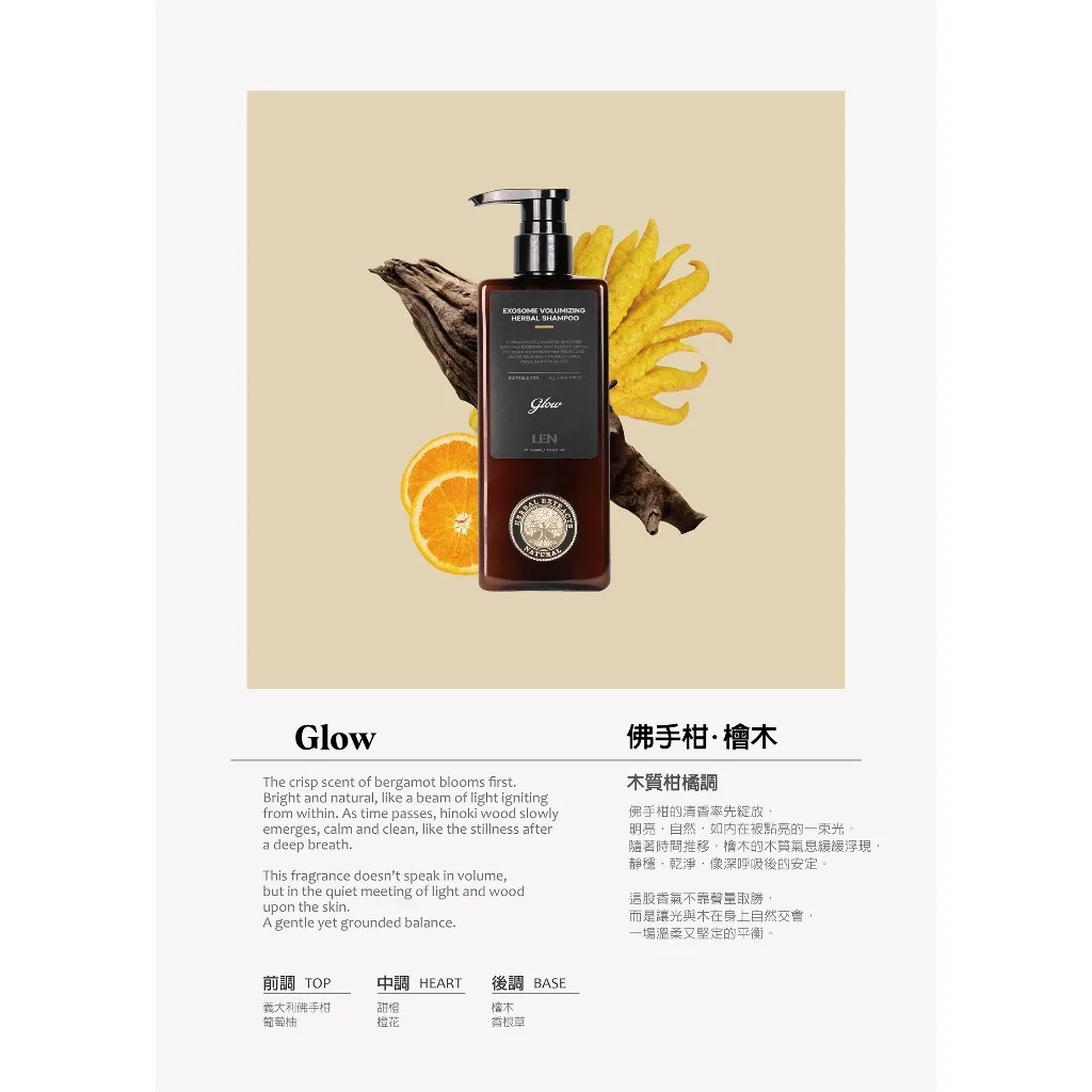 LEN 嵐專業造型與頭皮護理:髮蠟市場洞察與居家沙龍趨勢精華速覽