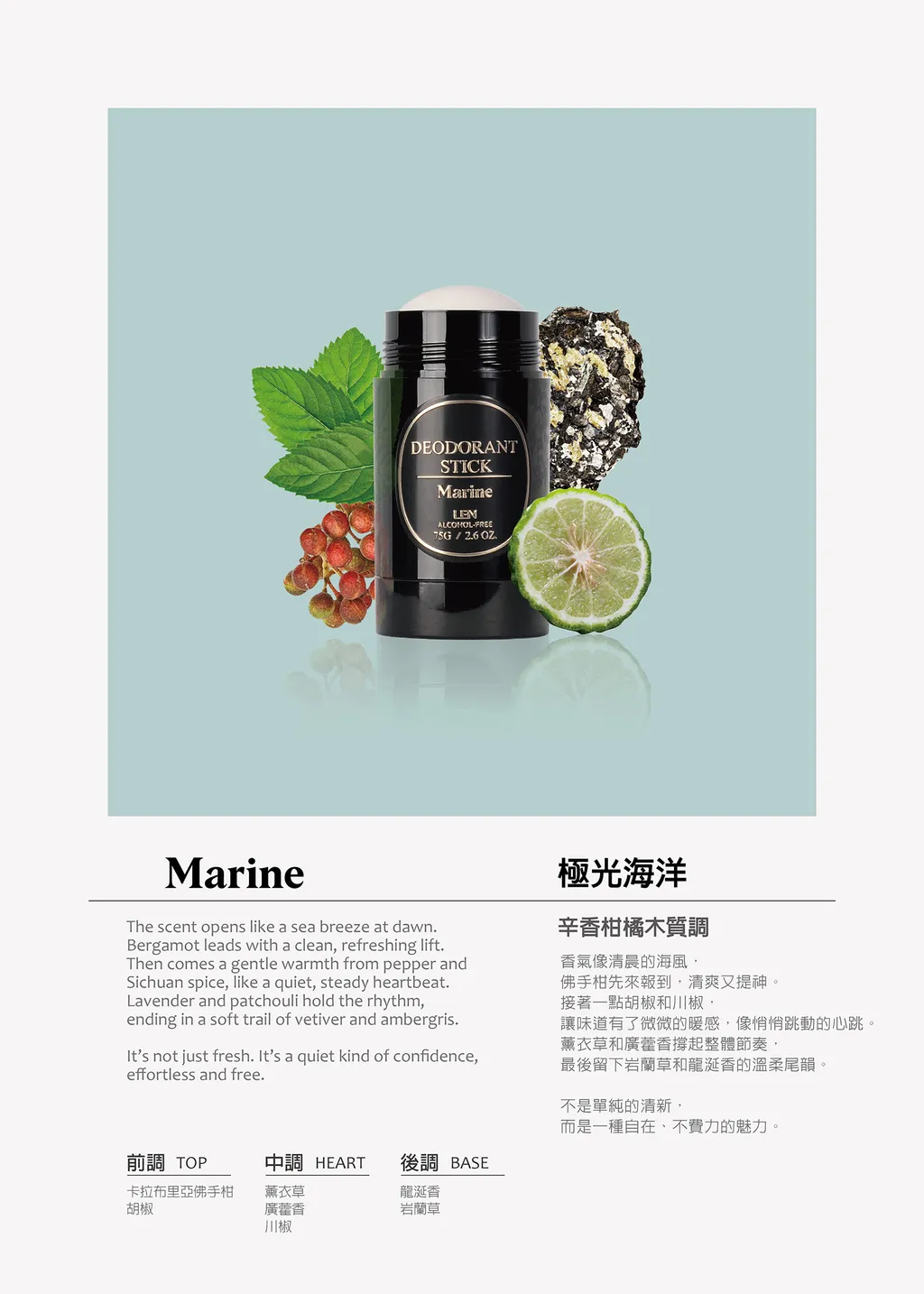 LEN 嵐 產品線解析:從草本洗髮露、控油抗痘噴霧到專業造型梳的市場觀察